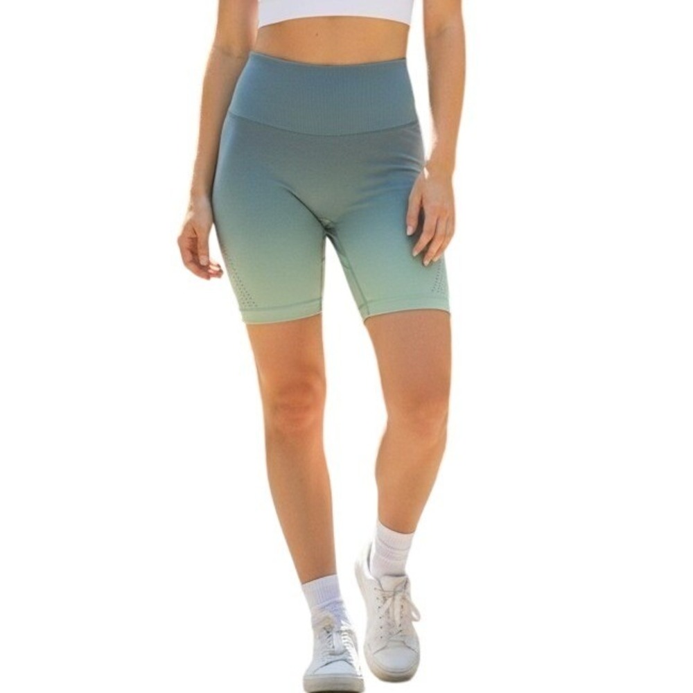 PINK Sport Bike Shorts Women XL Blue Green Ombre Seamless High Rise Mesh 6" ins